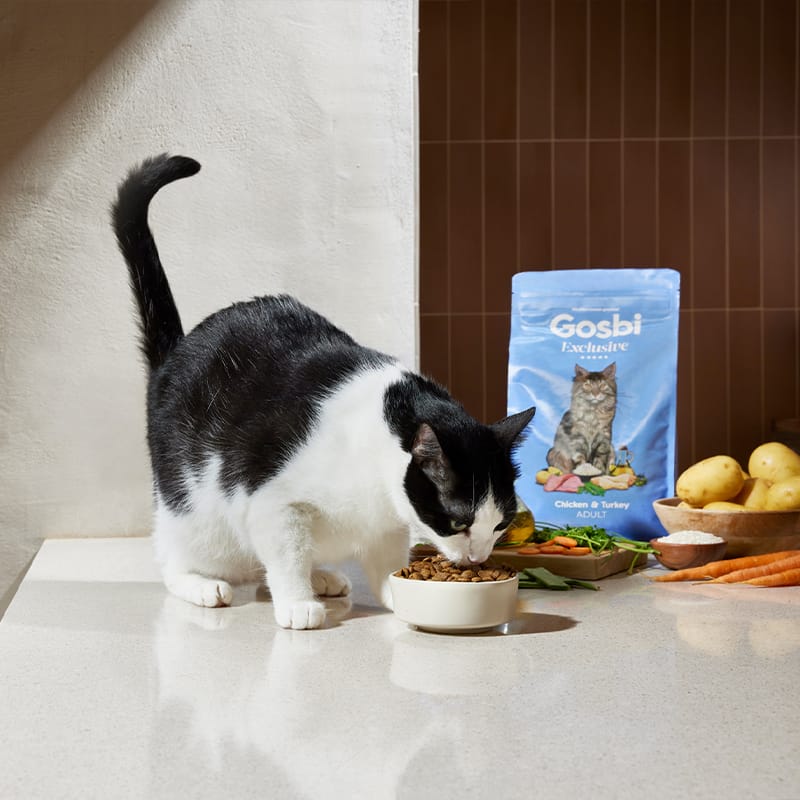 Exclusive Cat Adult Chicken with Turkey